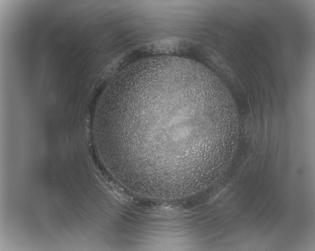 X0000067900737200604131354