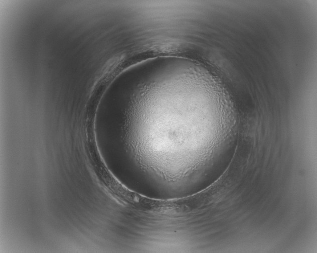 X0000067900738200604131354