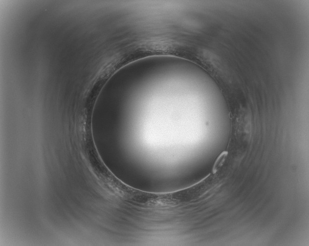 X0000067900739200604131354