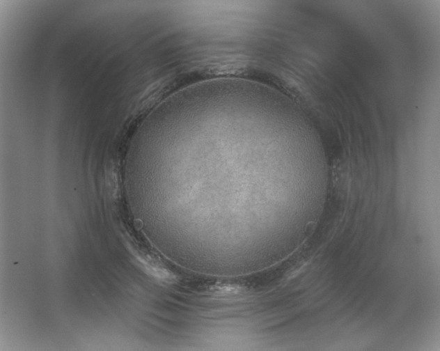 X0000067900741200604131354