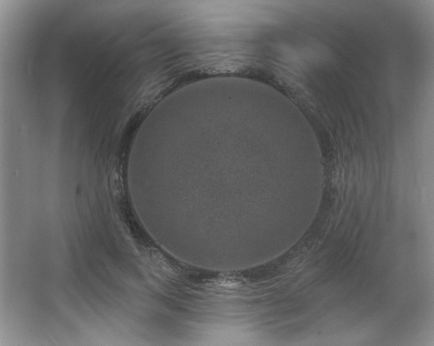 X0000067900743200604131354