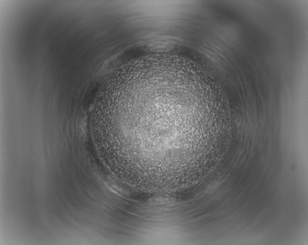 X0000067900745200604131354