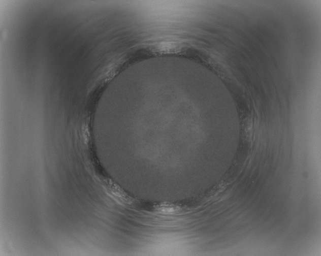 X0000067900746200604131354