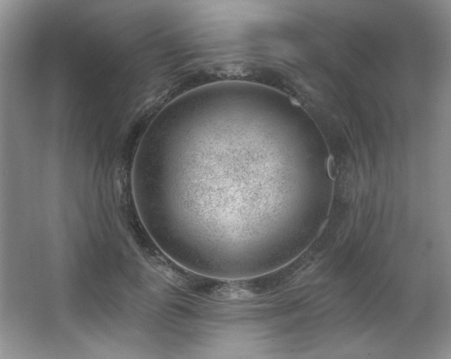 X0000067900747200604131354