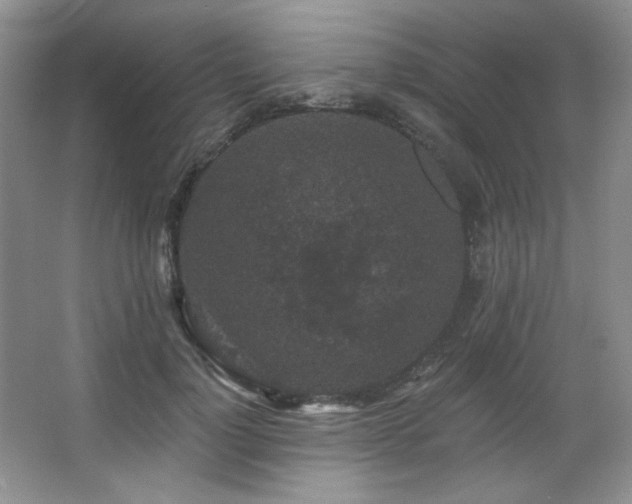 X0000067900748200604131354