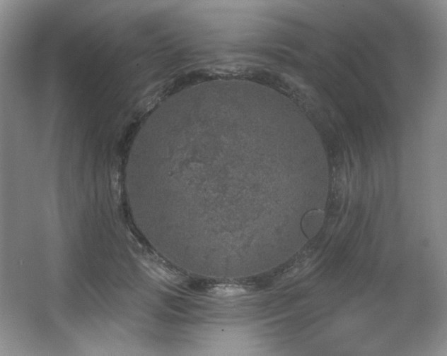 X0000067900749200604131354