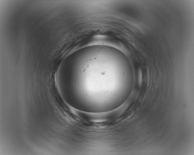 X0000067900750200604131354