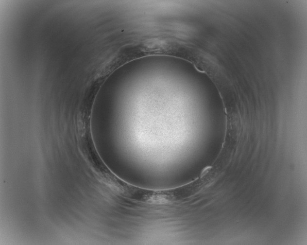 X0000067900751200604131354