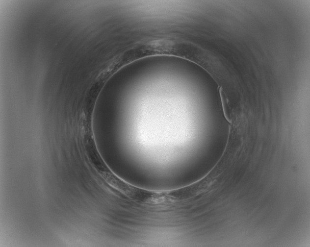 X0000067900752200604131354