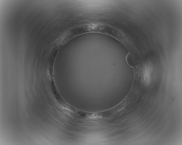 X0000067900754200604131354