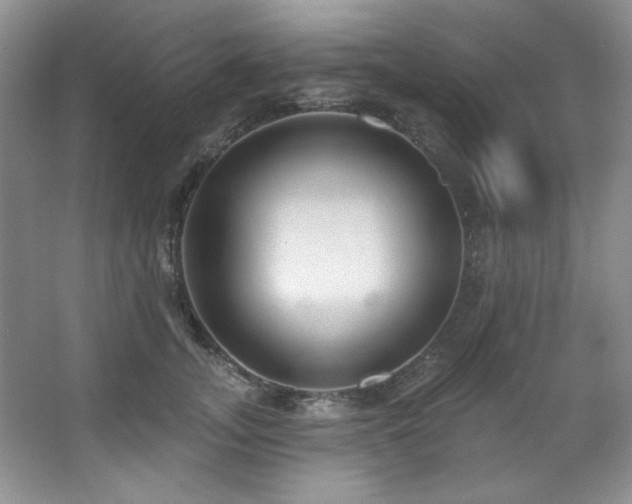 X0000067900755200604131354