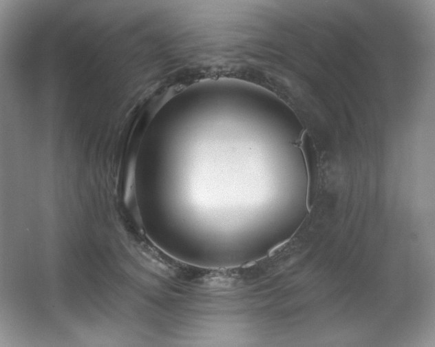 X0000067900756200604131354