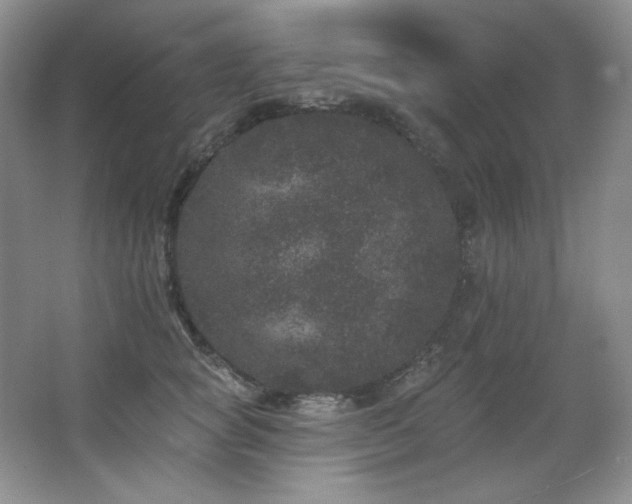 X0000067900757200604131354