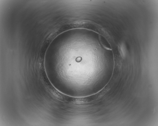 X0000067900758200604131354