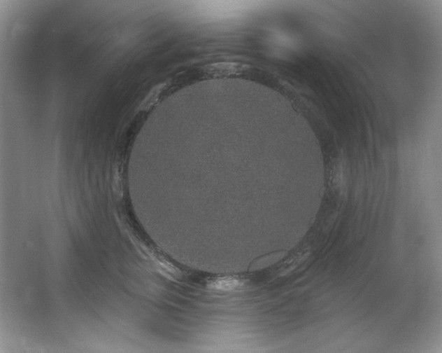 X0000067900759200604131354