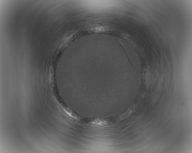 X0000067900760200604131354