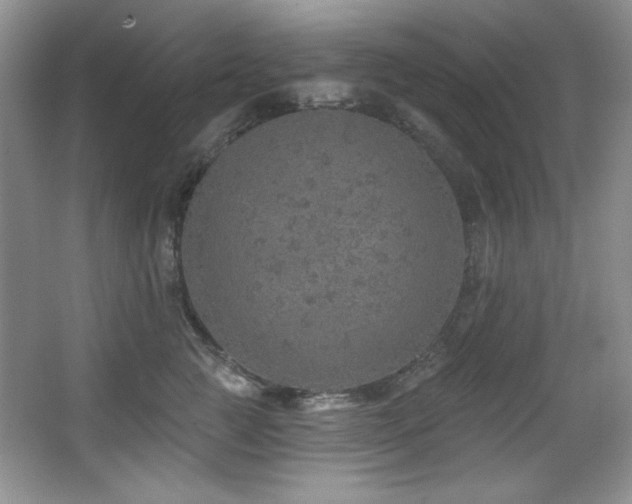 X0000067900761200604131354