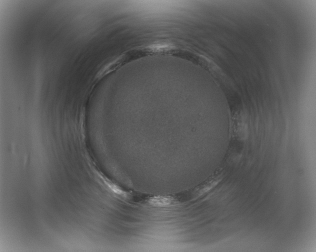 X0000067900762200604131354