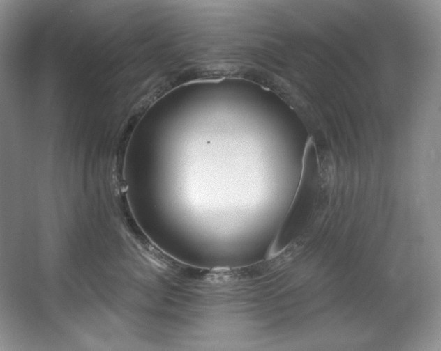 X0000067900764200604131354