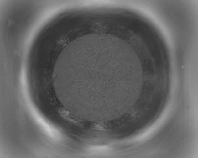 X0000067900765200604131354