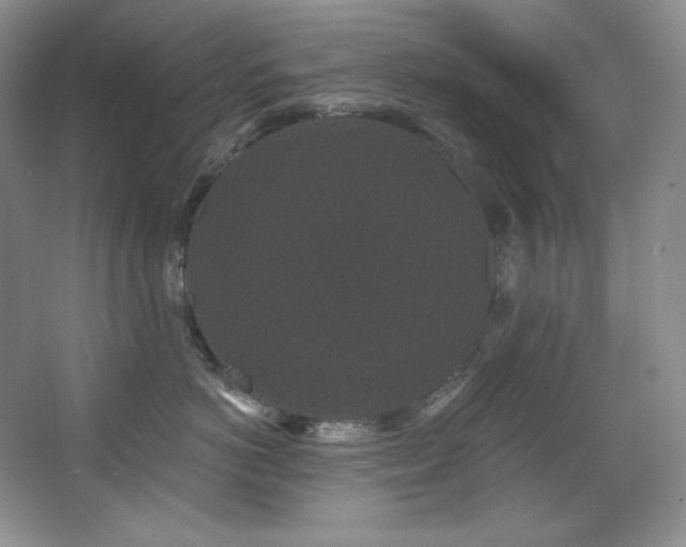 X0000067900766200604131354