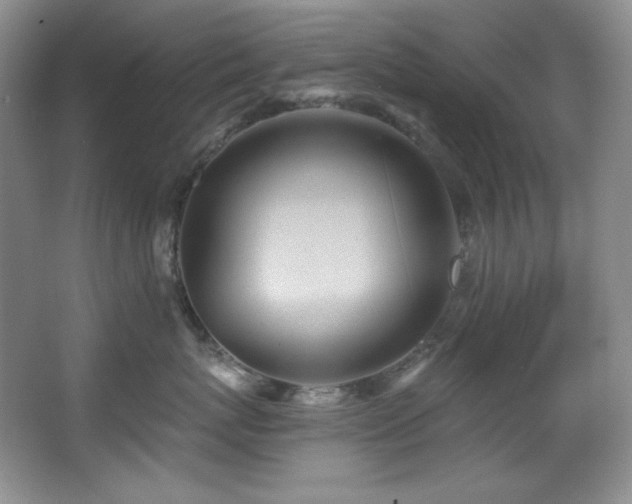 X0000067900767200604131354