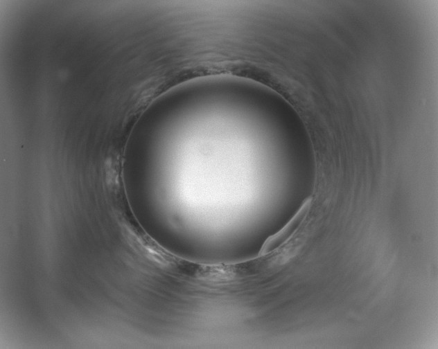 X0000067900768200604131354