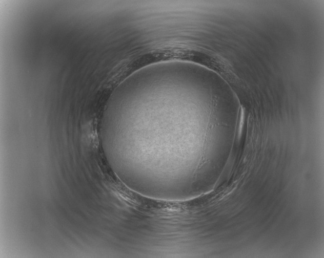 X0000067900771200604131353