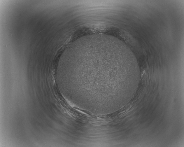 X0000067900772200604131353