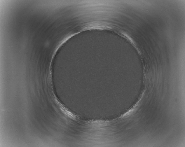 X0000067900779200604131353