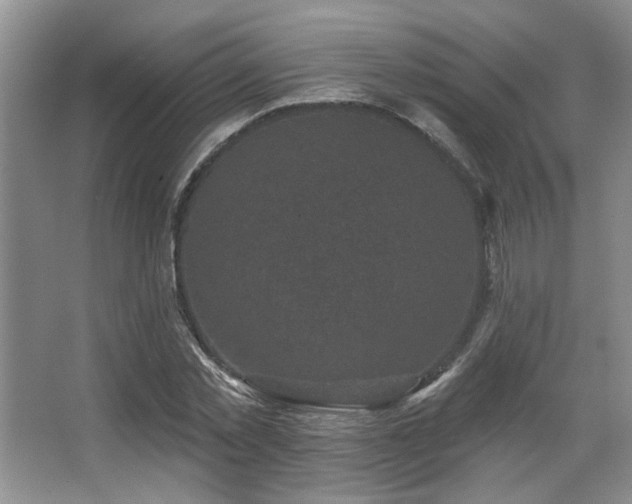 X0000067900781200604131353