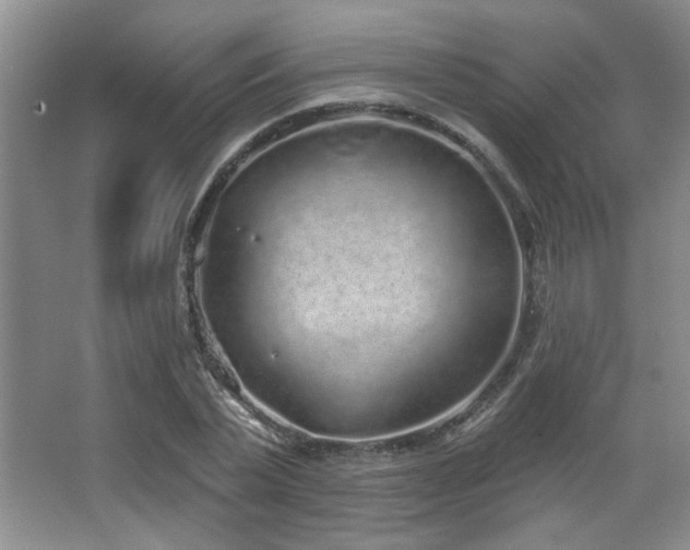 X0000067900783200604131353