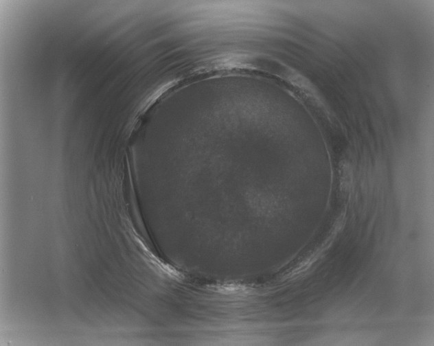 X0000067900785200604131353