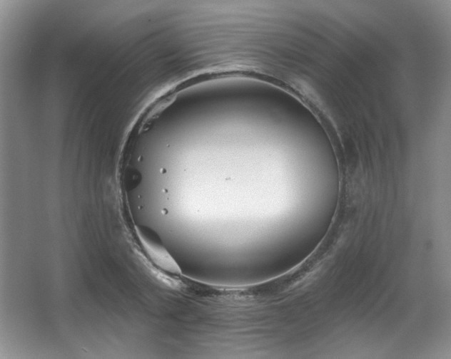 X0000067900789200604131353