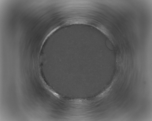 X0000067900790200604131353