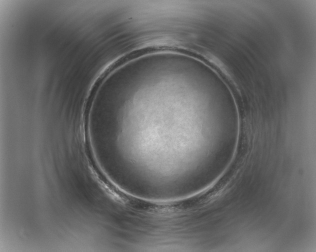 X0000067900791200604131353