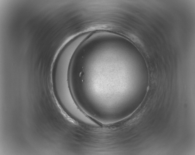 X0000067900792200604131353