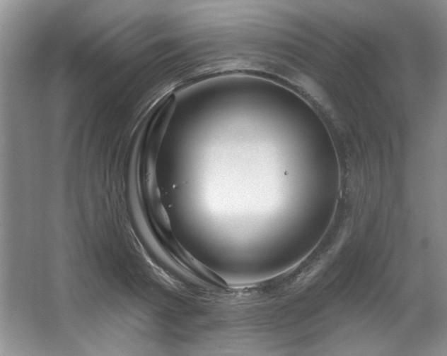 X0000067900793200604131353