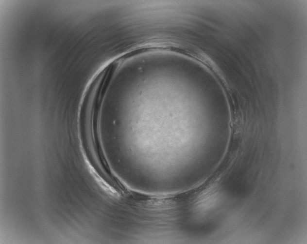 X0000067900795200604131353