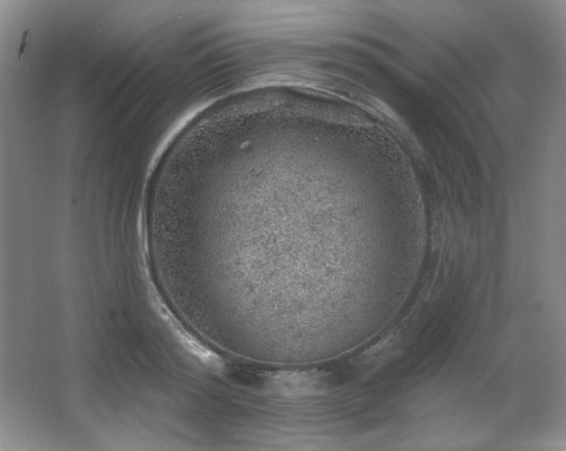 X0000067900796200604131353