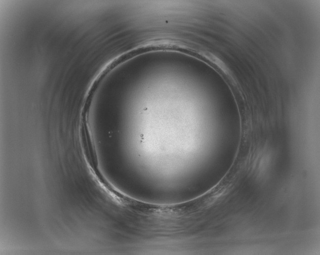 X0000067900799200604131353