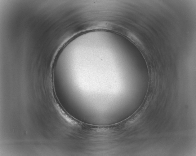 X0000067900800200604131353