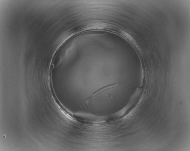 X0000067900802200604131353