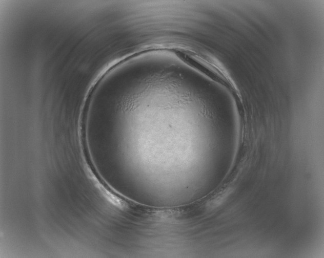 X0000067900803200604131353