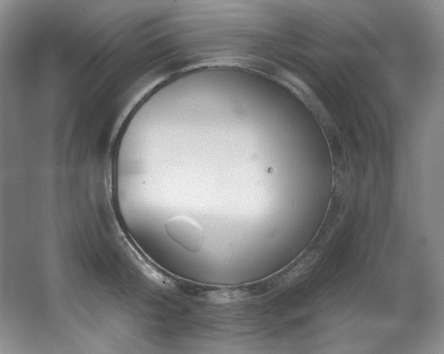 X0000067900804200604131353