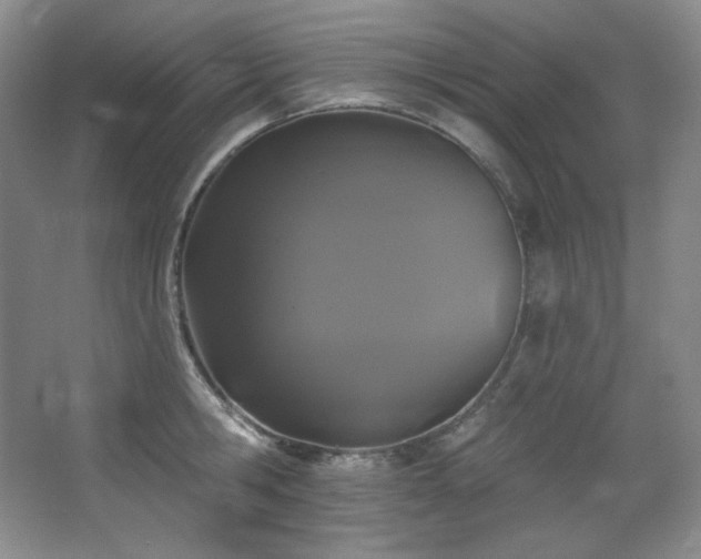 X0000067900806200604131353