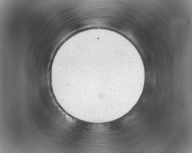 X0000067900807200604131353