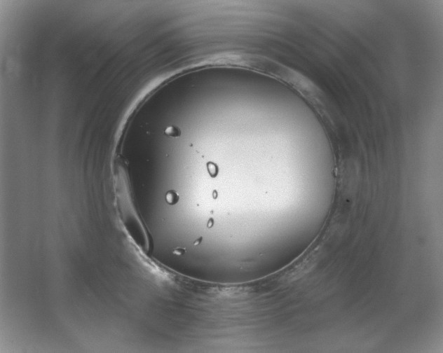 X0000067900808200604131353