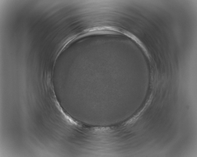 X0000067900809200604131353