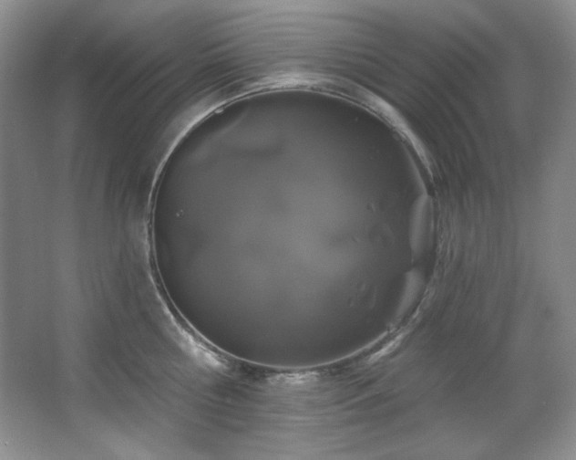 X0000067900810200604131353